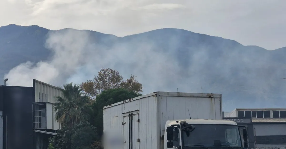 Bursa’da Korkutan Görüntü! Kestel Zehir Soluyor Gencgazete