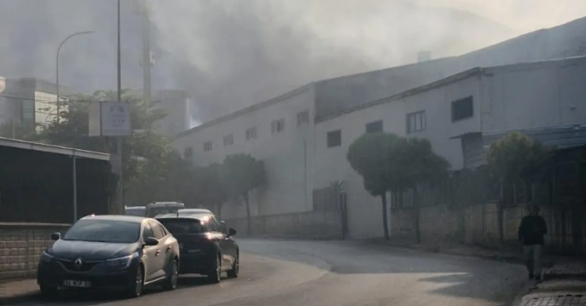 Bursa’da Korkutan Görüntü! Kestel Zehir Soluyor