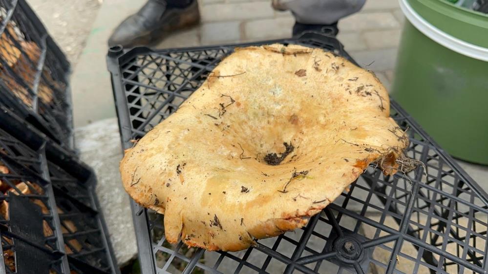 Bursa'da Yağmur Yağdı! (1)