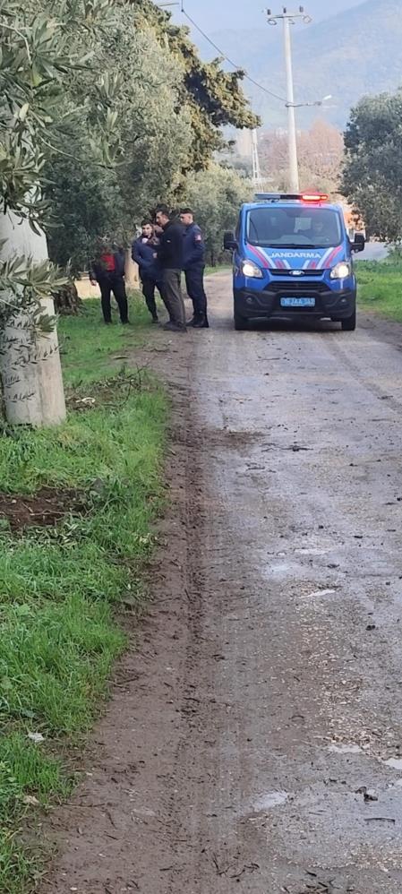 Bursa'da Zeytin Hasadı Kabusa Döndü! Zeytinleri Dalından Çaldılar-1