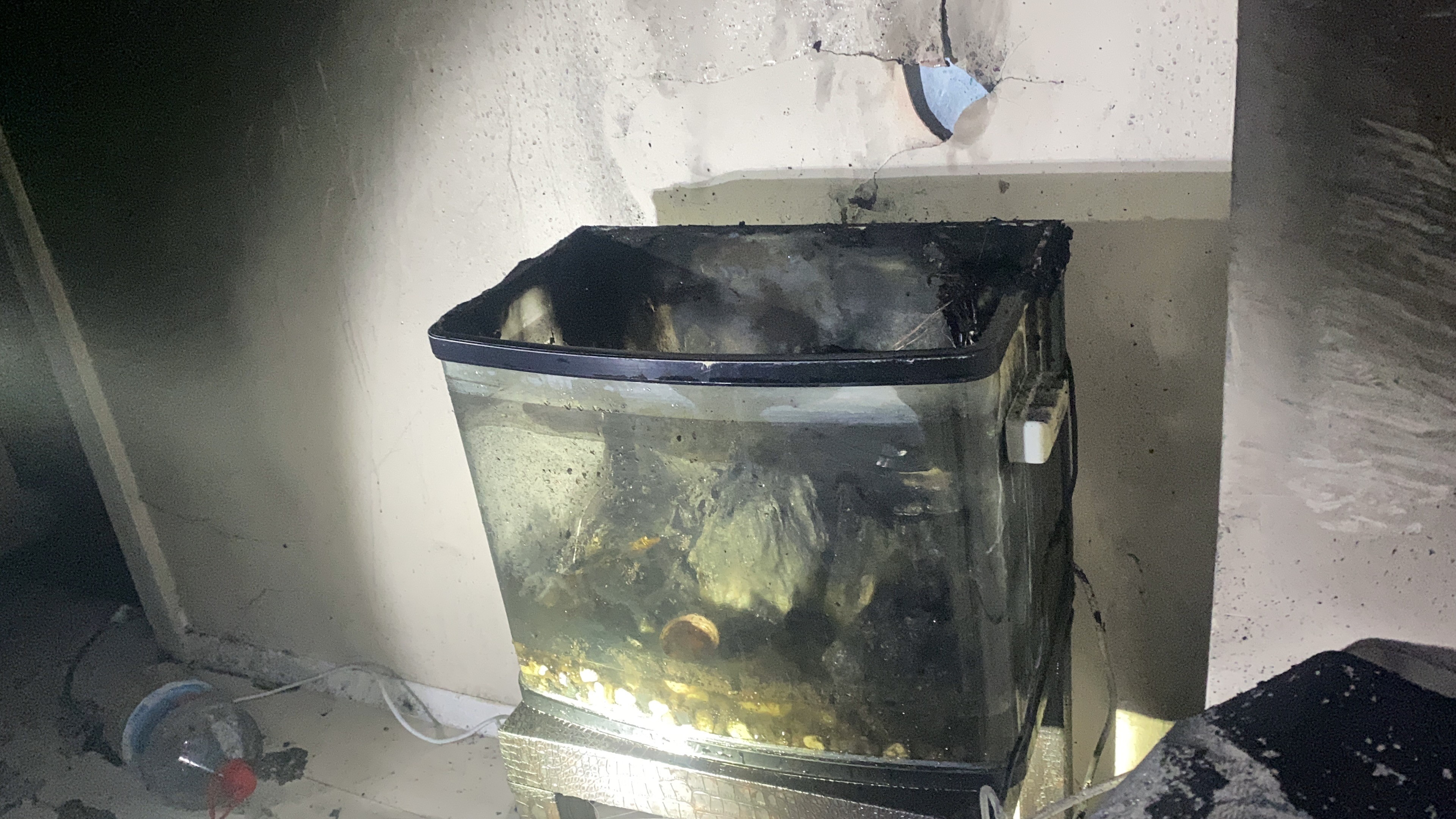 Bursa'nın Mudanya Ilçesinde Bir Evde Akvaryumdan Çıkan Yangın, Itfaiyenin Müdahalesiyle Söndürüldü. Yangın Sırasında Akvaryumdaki Balıklar Kurtarıldı (1)