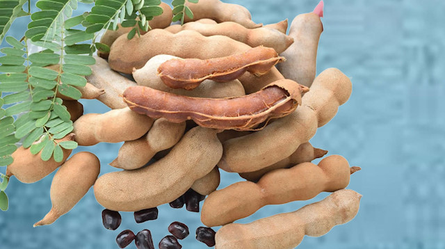 Demirhindi Nedir, Ne İşe Yarar İşte Demirhindinin Faydaları, Kullanım Şekilleri Ve Merak Edilenler (2)-1