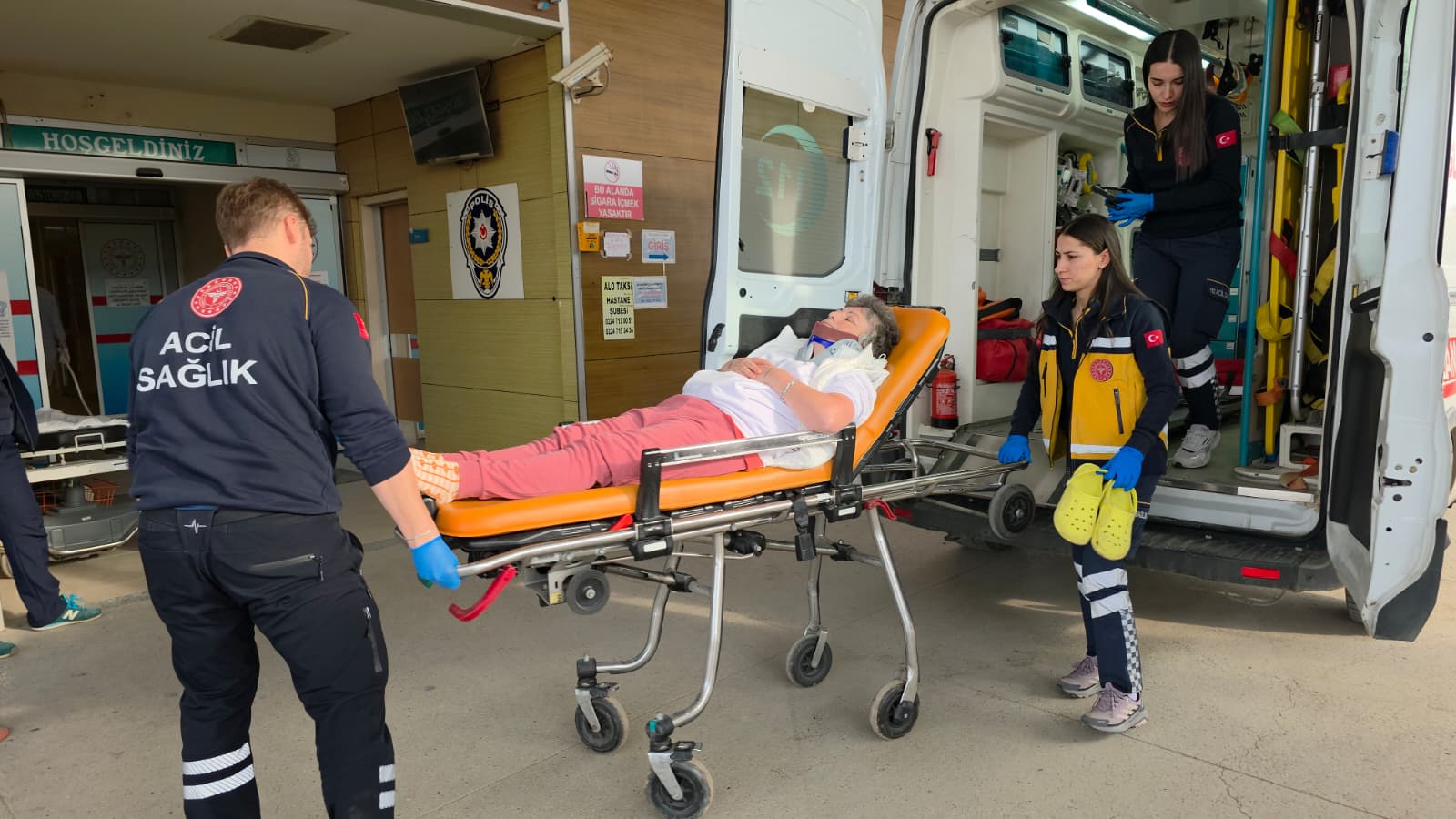 F72Ff5B6 267B 46E5 88Ab E2Ceb31F839C