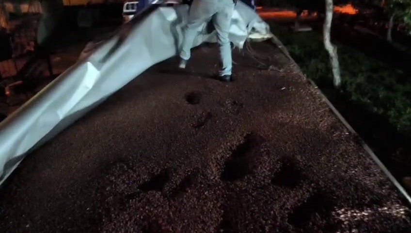 Fındıkla Kamufle Edilen Tırdan 30 Milyonluk Kaçak Makaron Çıktı (1)