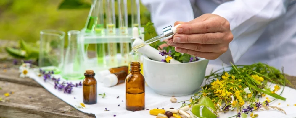 Fitoterapi Nedir Bitkilerle Tedavi Mümkün Mü (1)