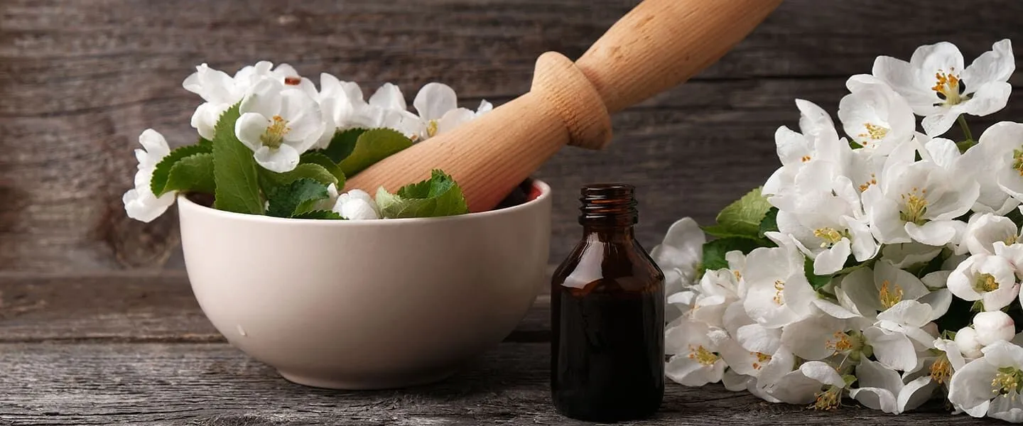 Fitoterapi Nedir Bitkilerle Tedavi Mümkün Mü (3)