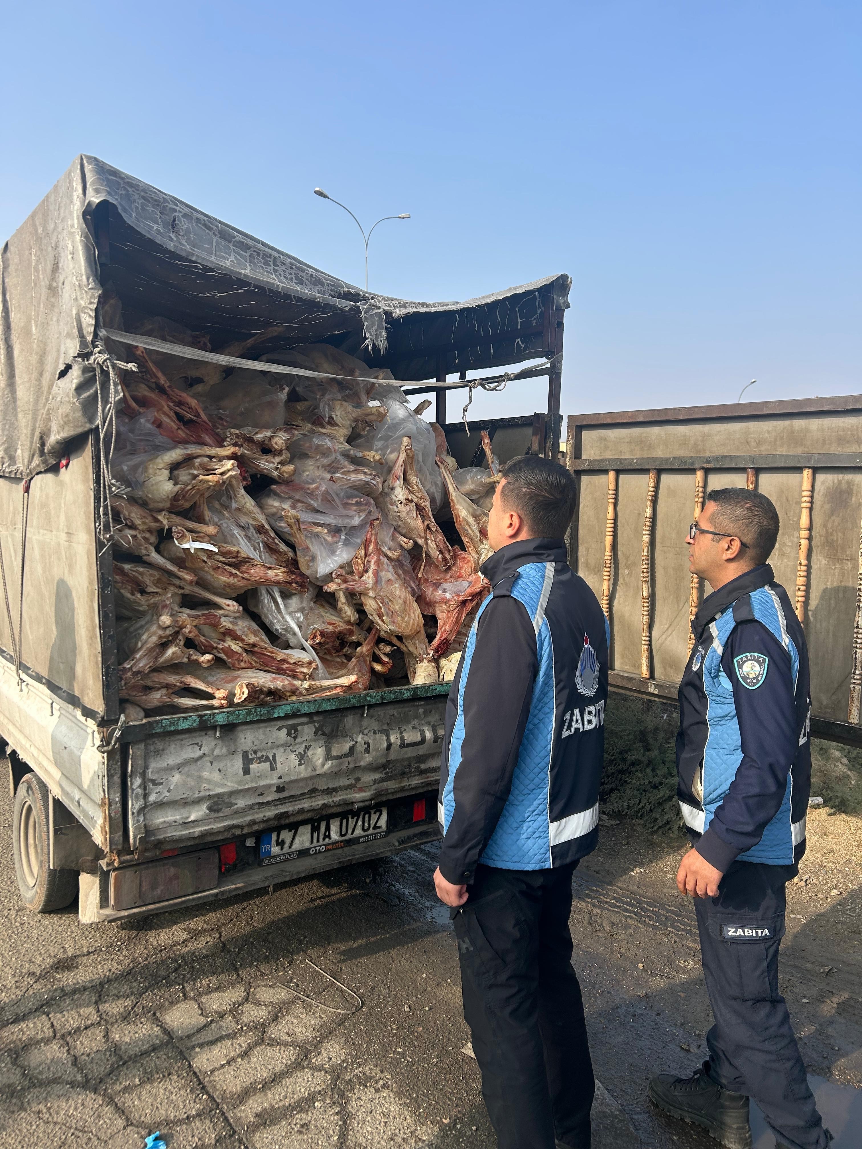 Gaziantep Nizip’te Durdurulan Kamyonetten Kilolarca Bozuk Et Çıktı. Etler Imha Edildi, Sürücü Gözaltına Alındı. Soruşturma Sürüyor (1)
