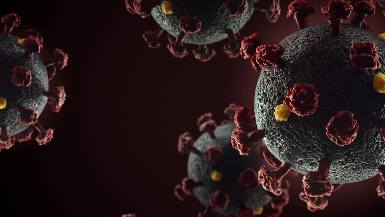 Gelecek 10 Yılda Hiv Nedeniyle Milyonlarca Kişi Ölebilir! Uzmanlar Neden Alarm Veriyor, Risk Ne Kadar Büyük (2)