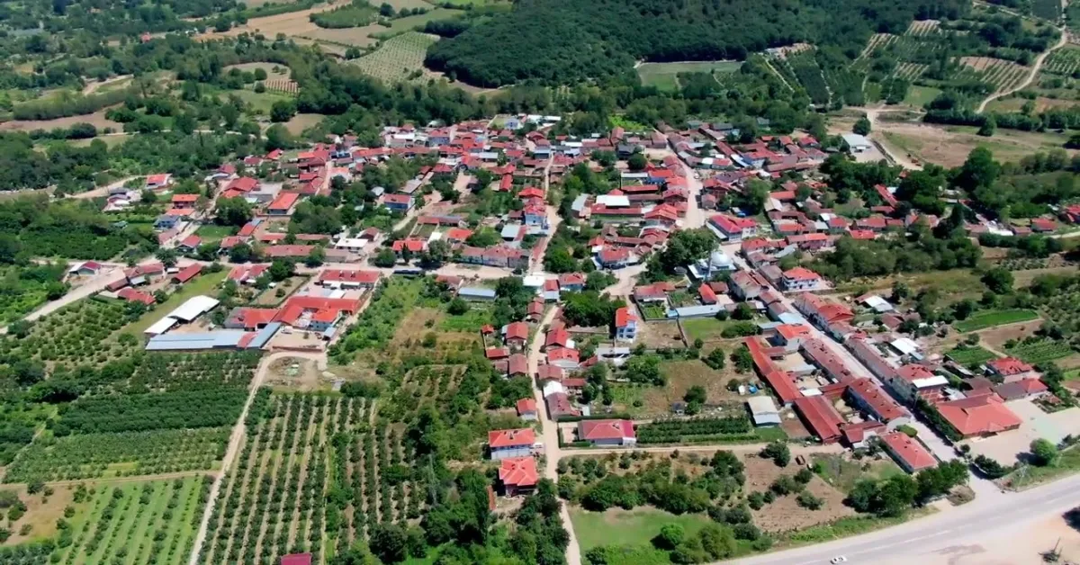 Hamamlı Mahallesi’nde Arsa Üzerindeki Bina Icradan Satılacak