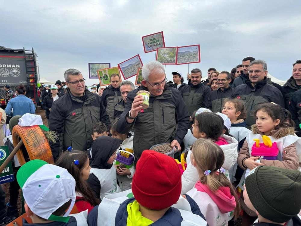 Harmancık’ta Yanan 4 Bin Hektar Orman Için Yeniden Ağaçlandırma Başladı (2)