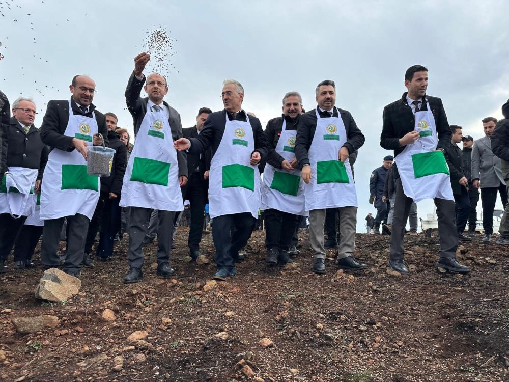 Harmancık’ta Yanan 4 Bin Hektar Orman Için Yeniden Ağaçlandırma Başladı (4)