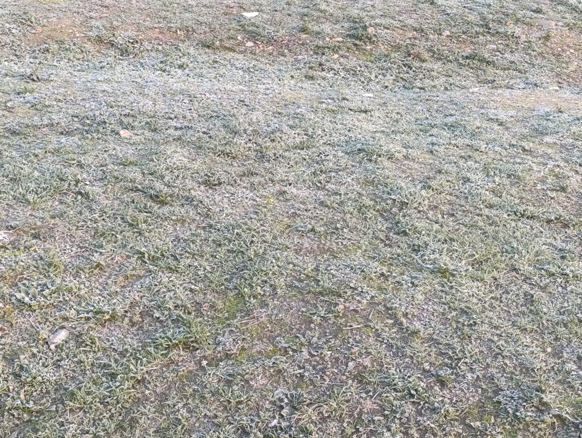 İnegöl Güne Soğuk Hava Ile Başladı! (2)