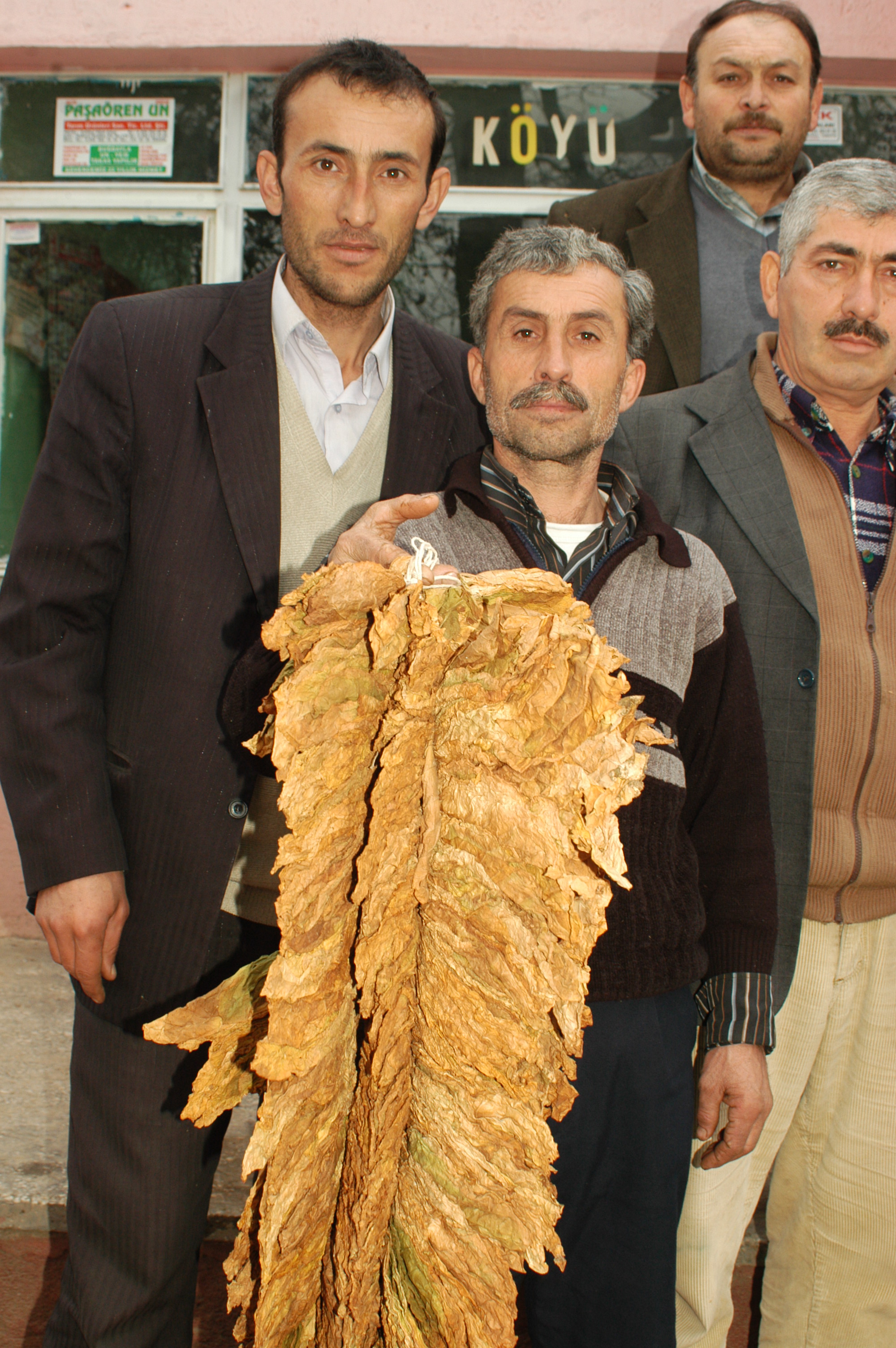 İnegöl Köylerinde Tütün İsyanı Arşiv Haber 2008 Gençgazete (1)
