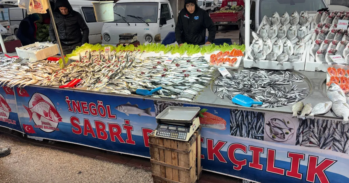 İnegöl'de Balık Fiyatları Belli Oldu! Hamsi, Çupra, Levrek.. (1)