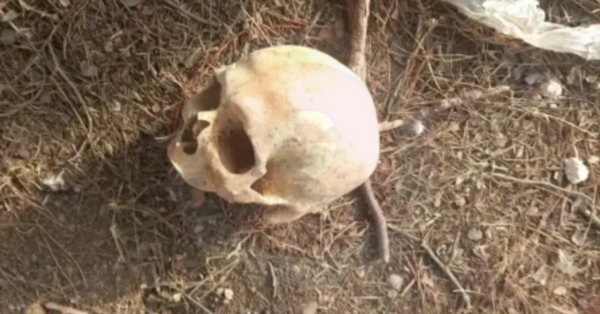 İnegöl’de Her Kazıda Kemik Çıkıyor13 Gencgazete