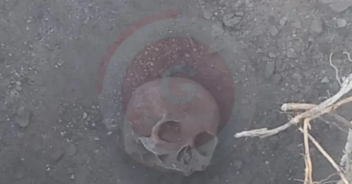 İnegöl’de Her Kazıda Kemik Çıkıyor2 Gencgazete