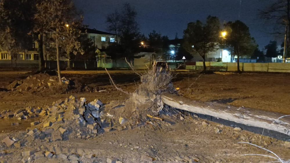 İnegöl’de Rüzgarın Etkisiyle Devrilen Ağaç Yürekleri Ağza Getirdi! (1)