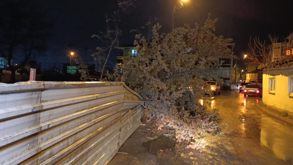 İnegöl’de Rüzgarın Etkisiyle Devrilen Ağaç Yürekleri Ağza Getirdi! (3)