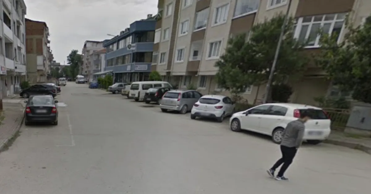 İnegöl'de Sokak Köpekleri Okula Giden Kadın Öğretmene Saldırdı