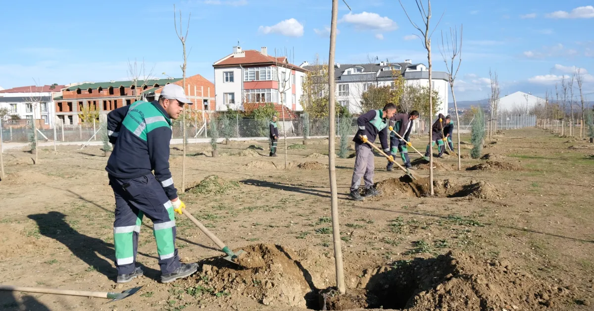 İnegöl'e Nefes Olacak 572 Fidanlık Yeni Koruluk Tamamlandı (6)