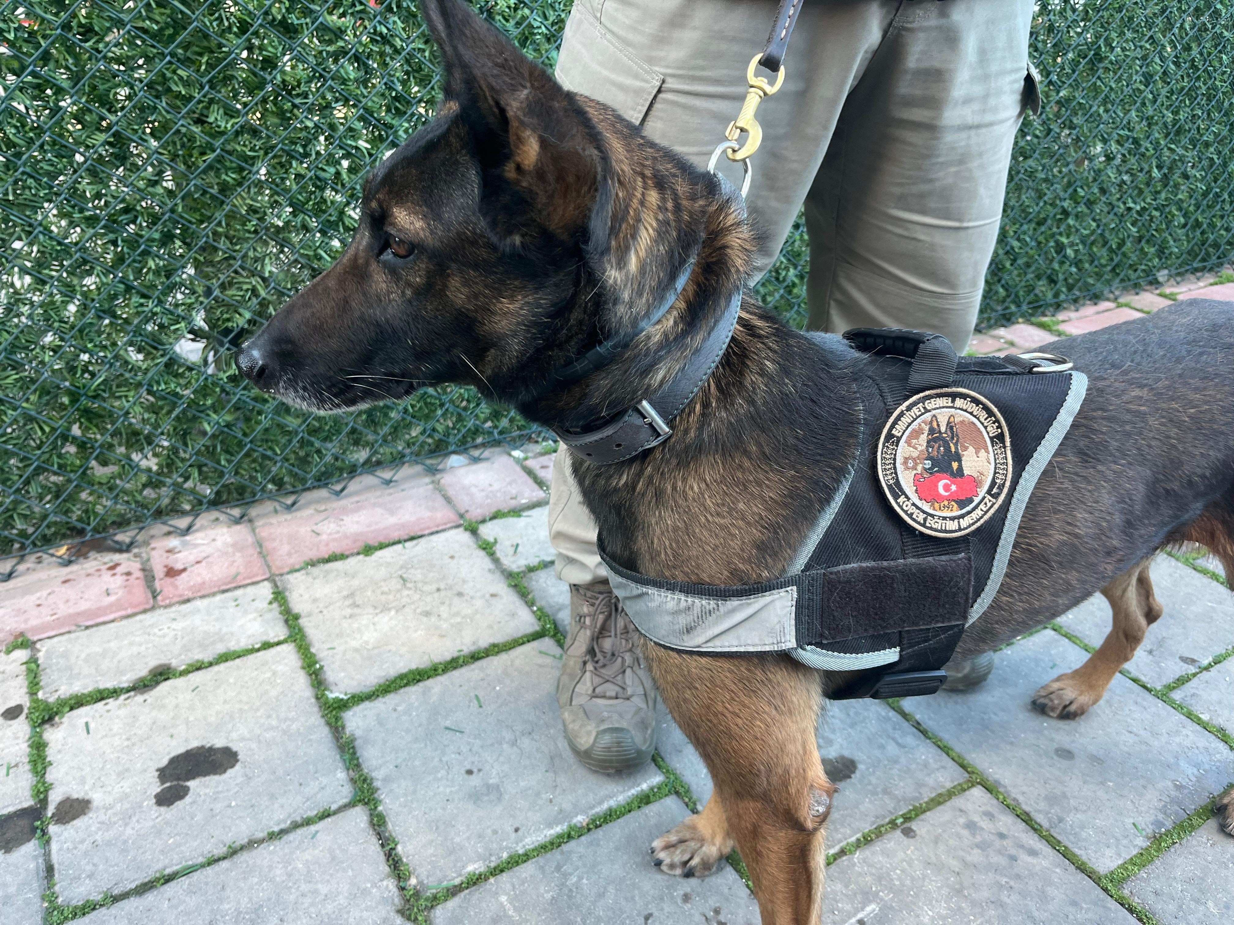 İzmir'de Tek Operasyonda 3 Milyon Uyuşturucu Hap Ele Geçti! 46 Tutuklama (3)