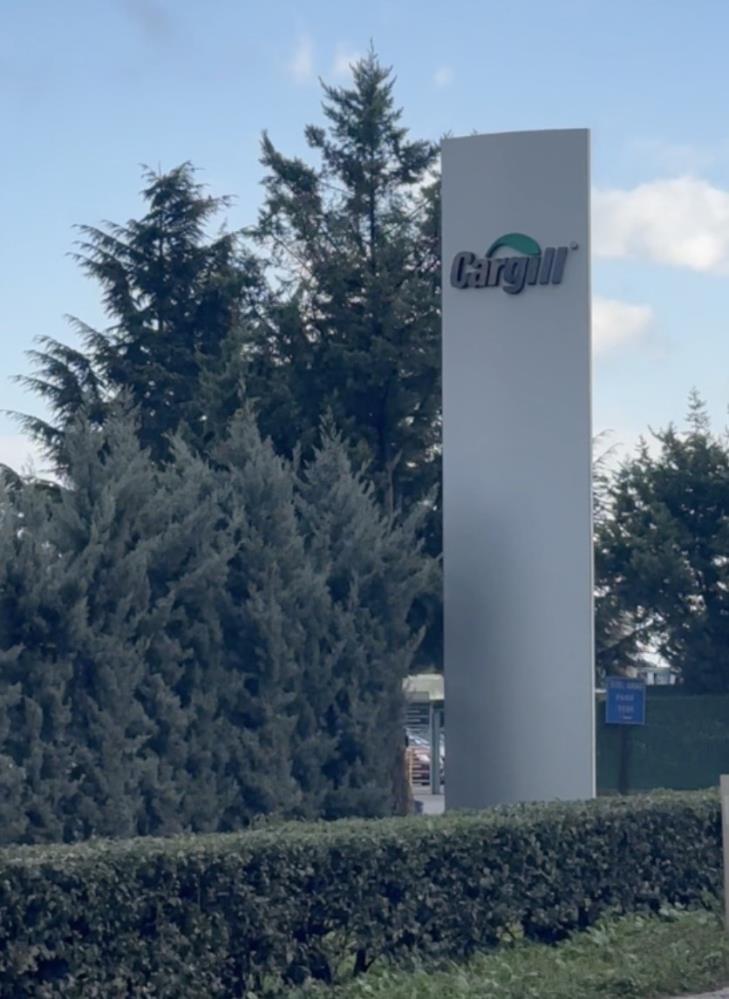 İznik Gölü İçin Kritik İddia! (1)