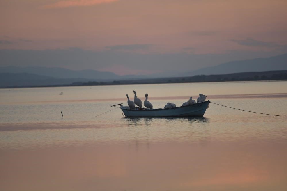 Karacabey Ovası’nda Çeltik Ekimi Kuraklık Nedeniyle Yasaklandı (1)