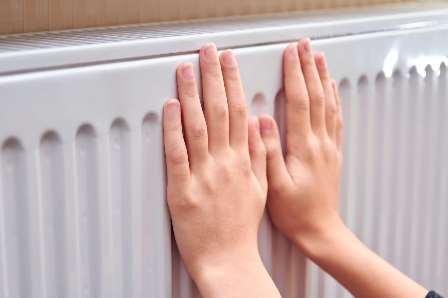 Kombi Ve Petek Bakımını Ertelenmeyin! 2026 Fiyatları Ne Kadar Olacak (2)