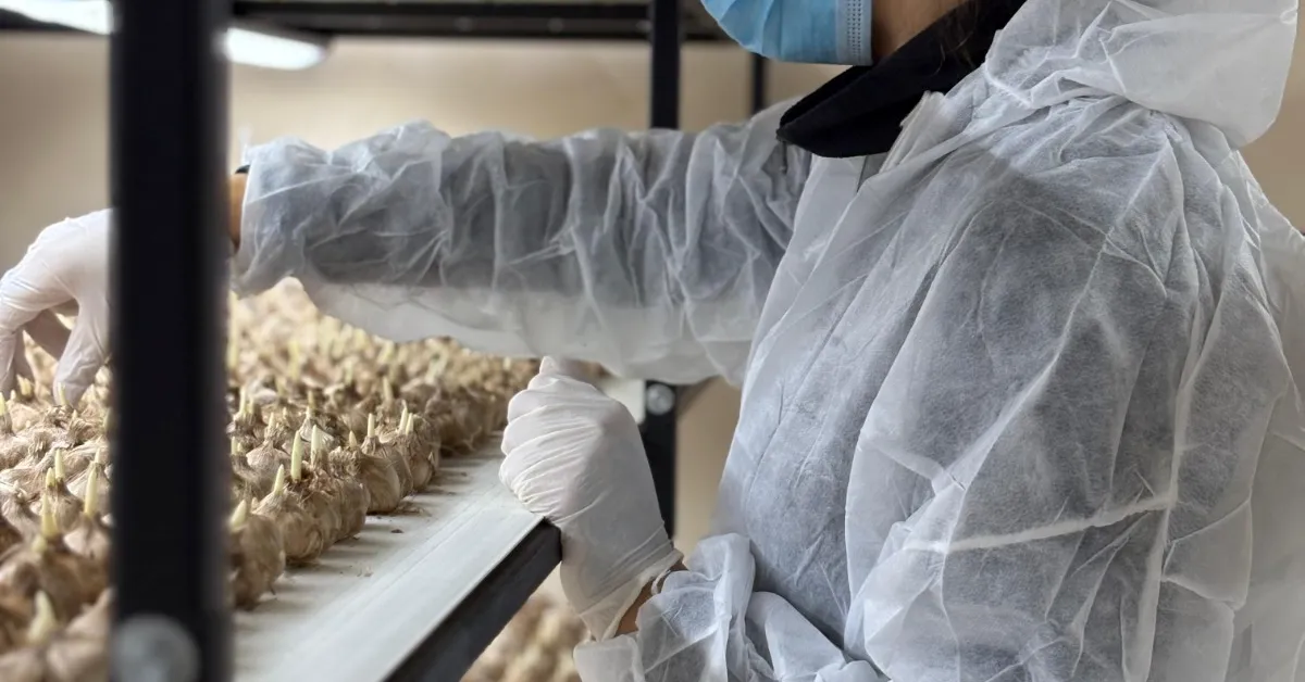 M E S L E G I N D E N V A Z G E C I P S A F R A N U R E T I M I N E B 1060556 314753 Gencgazete