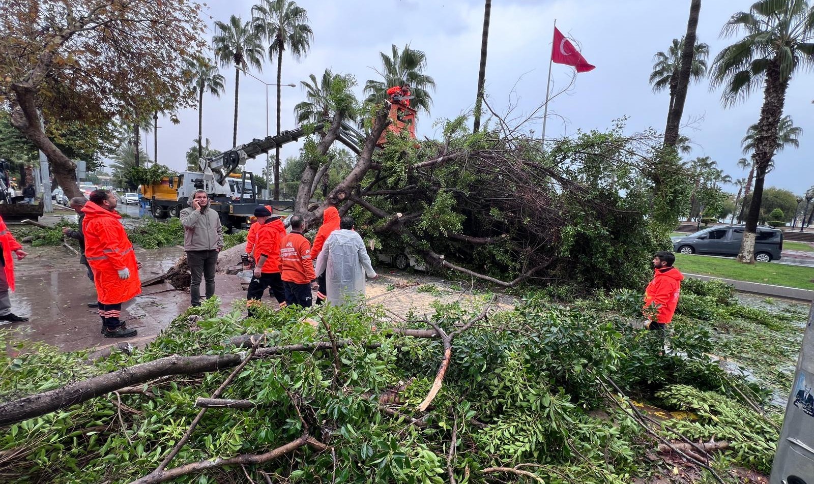 Mersin'de Devrilen Ağaç, Seyir Halindeki 3 Araca Zarar Verdi (2)