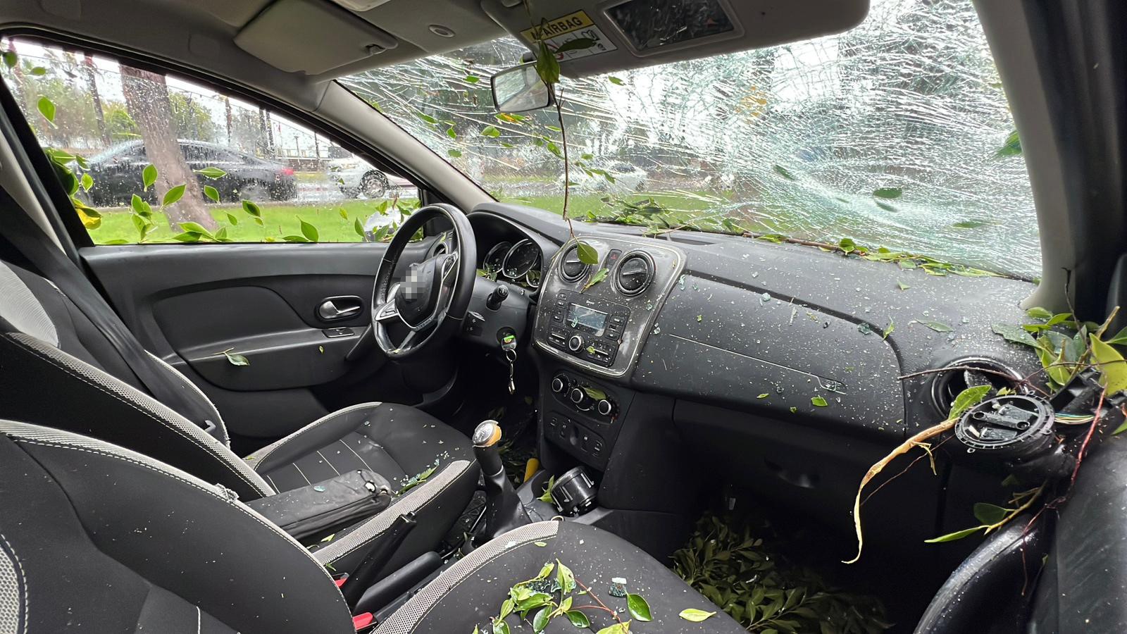 Mersin'de Devrilen Ağaç, Seyir Halindeki 3 Araca Zarar Verdi (3)