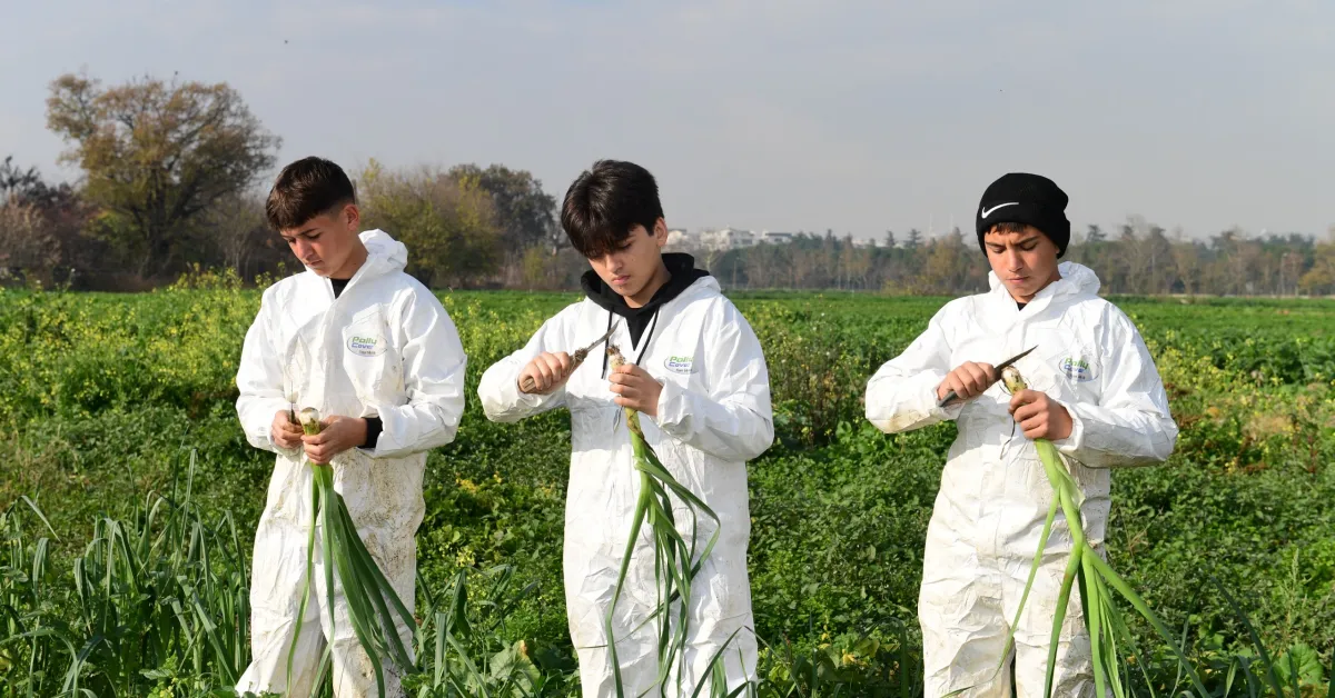 Osmangazi Belediyesi Organik Mahsullerini Halkla Buluşturuyor (5)