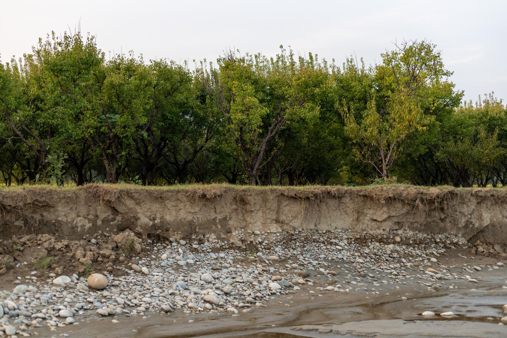 Rüyada Hendek Görmek Ditch Gençgazete (2)