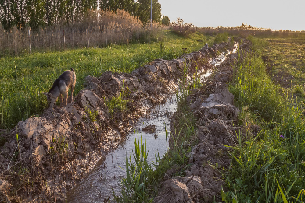 Rüyada Hendek Görmek Ditch Gençgazete (3)