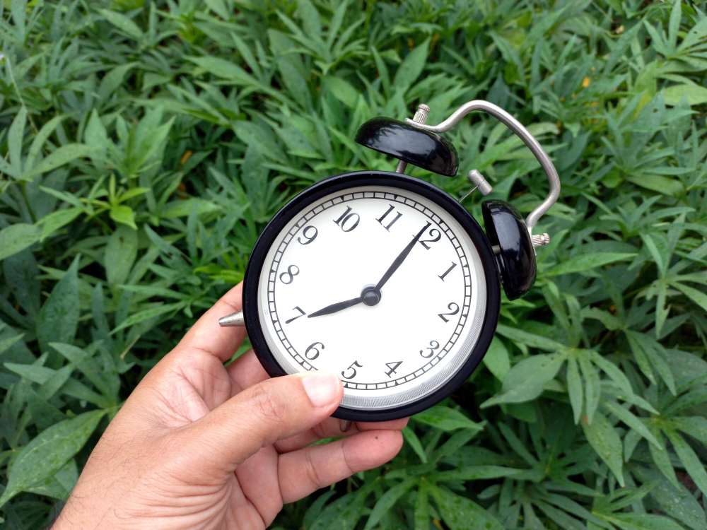 Saat Saat Biyolojik Takvimimiz Gençgazete (11)