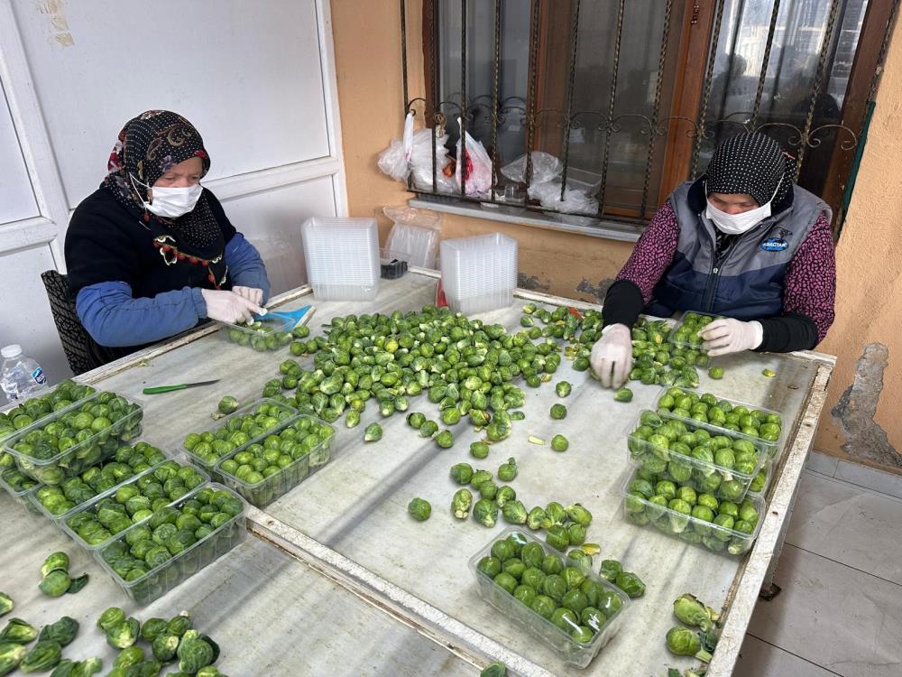 Şifa Deposu Bursa’da! Rusya Ve Hollanda İznik'ten Alıyor (1)