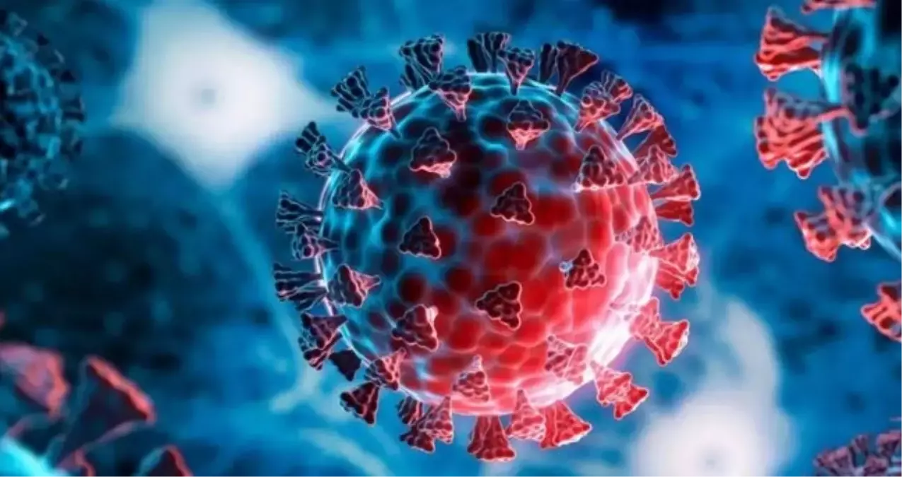 Son Dönemde Neden Daha Sık Karşımıza Çıkıyor (2)