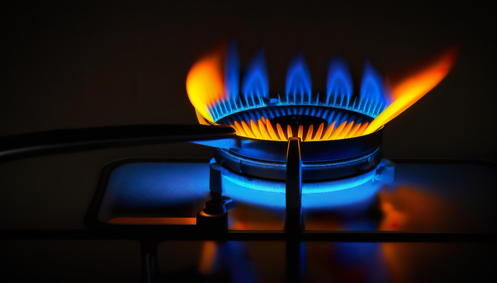 Temiz Enerji Doğalgaz Gençgazete (24)