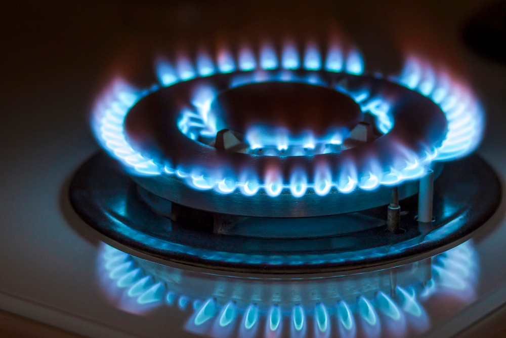 Temiz Enerji Doğalgaz Gençgazete (3)