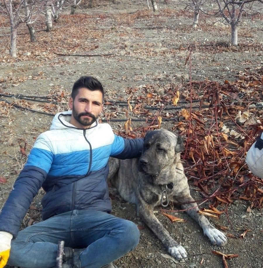 Tokat’ta Silahlı Kavga! 2 Ölü, 1 Yaralı (2)