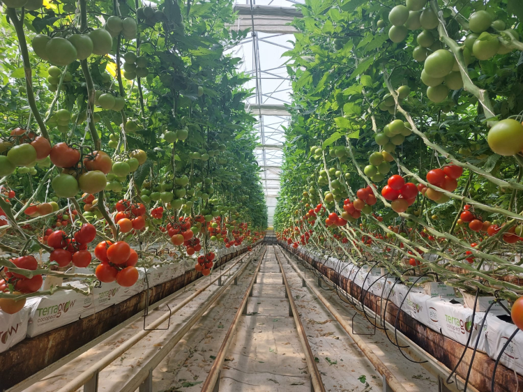 Whatsapp Image 2025 12 02 At 19.06.22 (1)