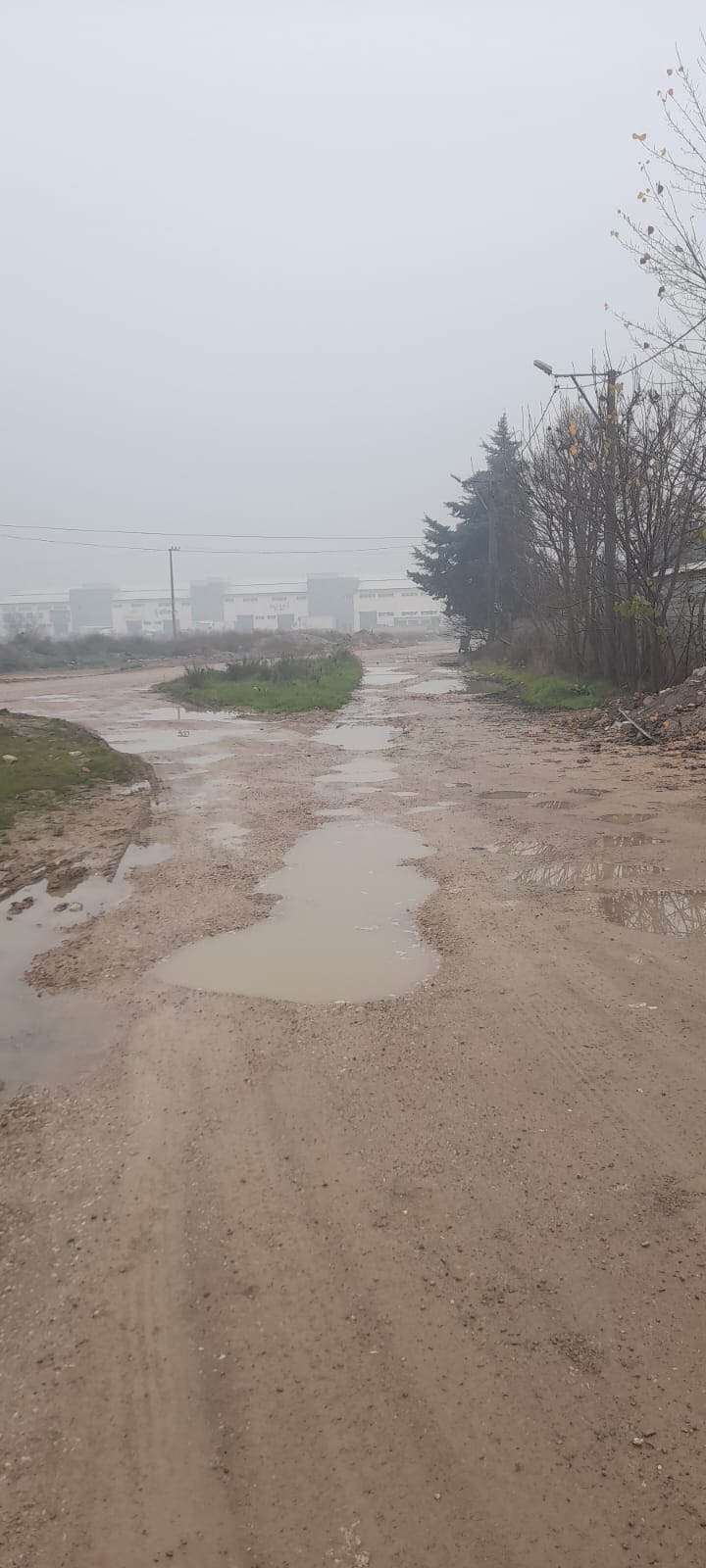 Whatsapp Image 2025 12 22 At 11.11.05