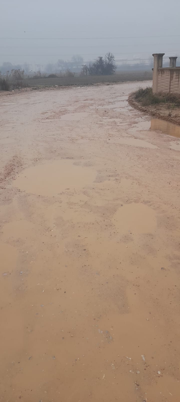 Whatsapp Image 2025 12 22 At 11.11.06