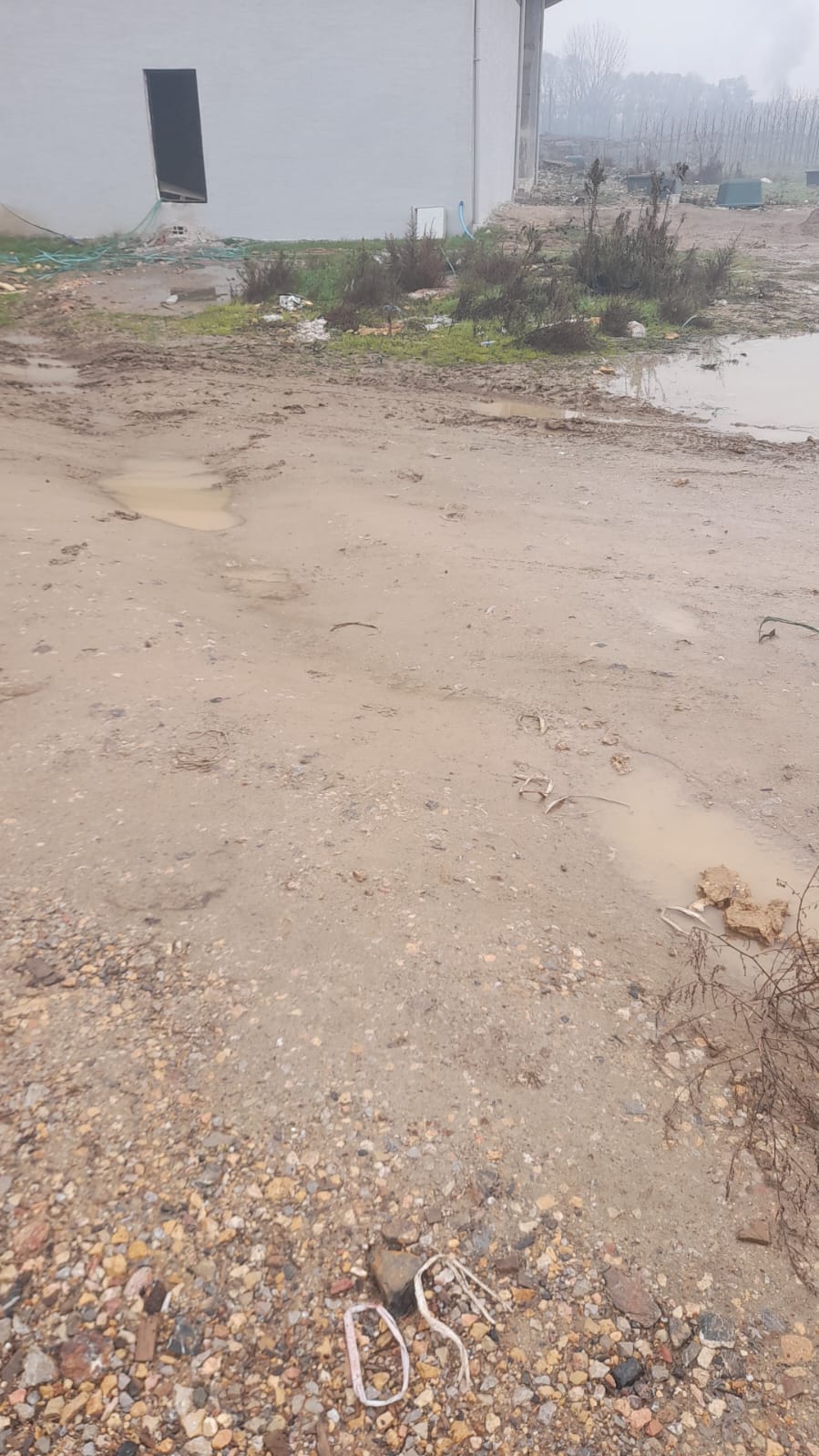 Whatsapp Image 2025 12 22 At 11.11.08 (1)