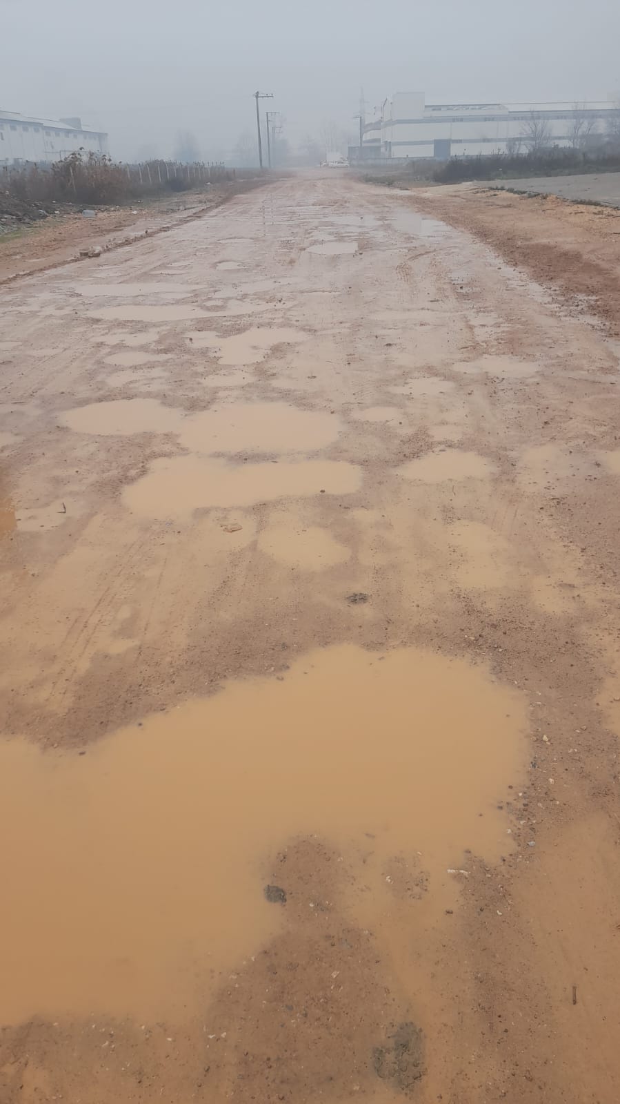 Whatsapp Image 2025 12 22 At 11.11.08