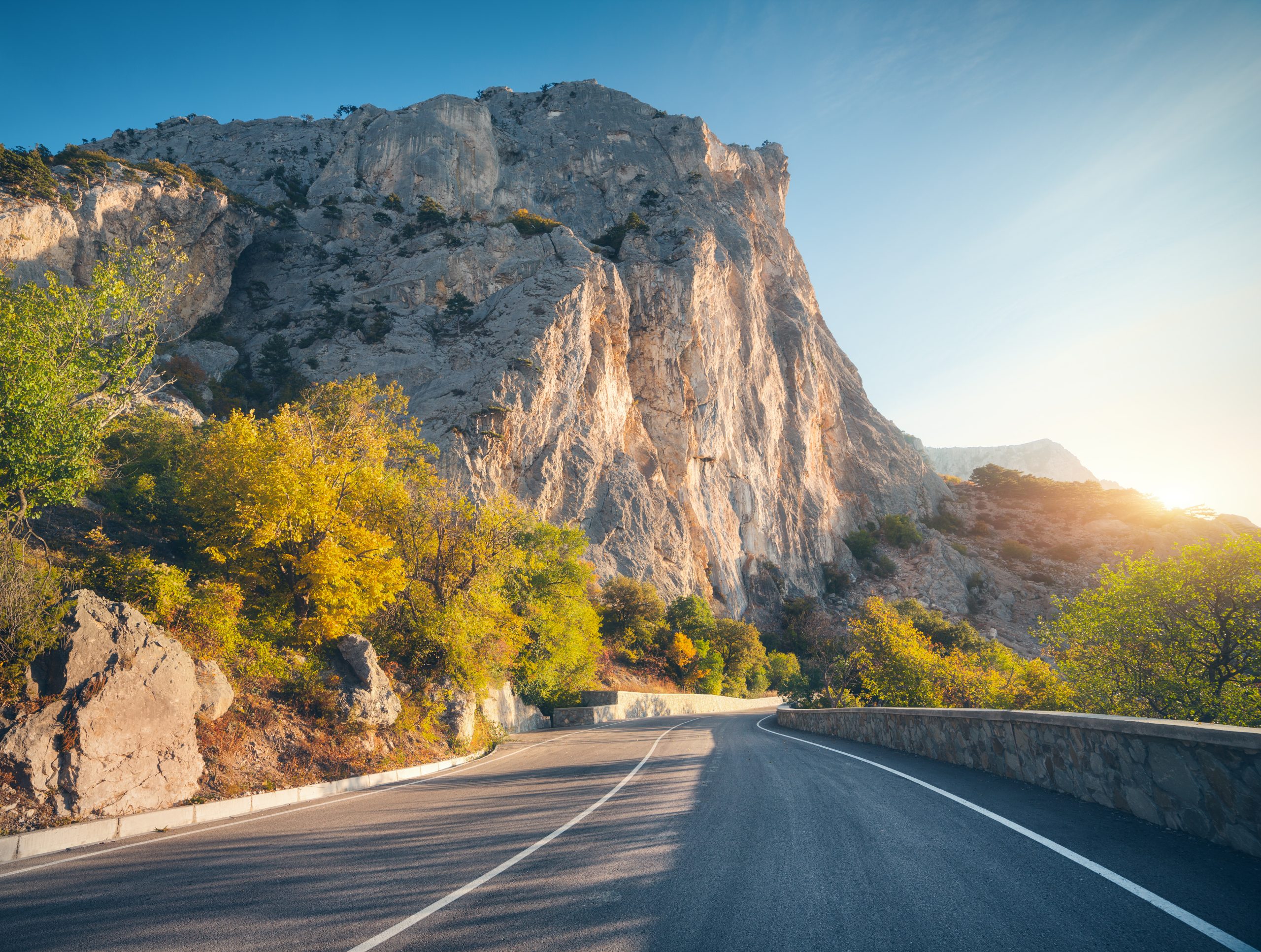 Yosun Bazlı Yeni Asfalt Yolları Değiştirir Mi Daha Dayanıklı, Daha Çevreci Ve Çukursuz Yollar Mümkün Mü (3)