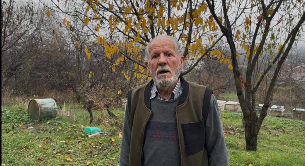 Zirai İlaçlar Milyonlarca Arıyı Öldürdü (1)-1