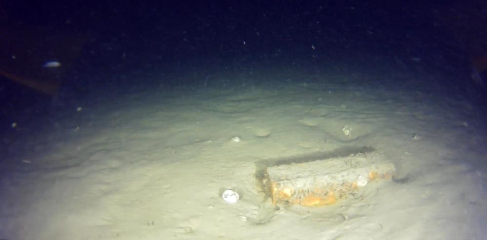 50 Yıl Önce Düşen 'Bursa' Isimli Uçağın Parçaları Bulundu! (1)