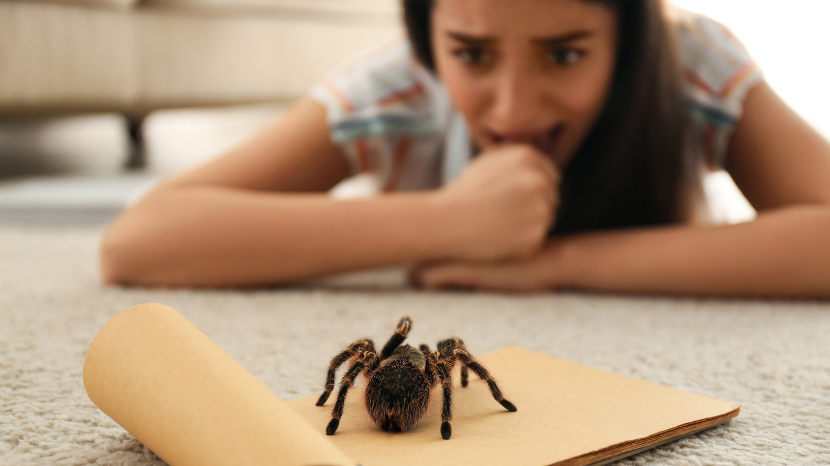Araknofobi Nedir, Örümcek Korkusu Neden Bu Kadar Şiddetli Yaşanır (1)-1
