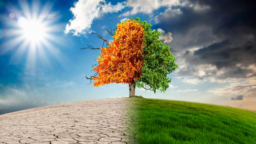 Ayların Adları Nereden Geliyor Takvimler Mevsimler Gençgazete (10)